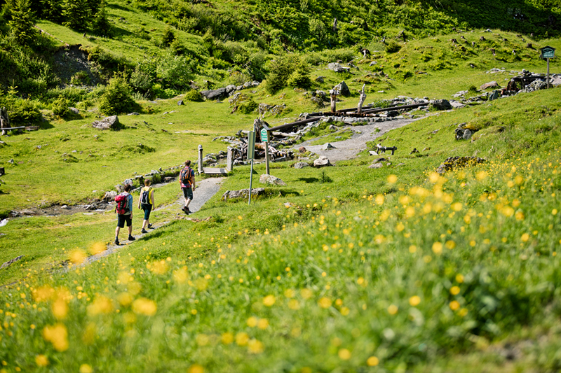 Urlaub Wandern Sommer